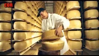 Consumatori in tv – TRC – Puntata n. 12