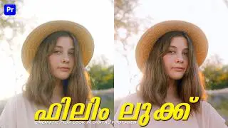 Get the cinematic Film Look | Color grading