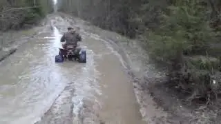Irbis atv 250