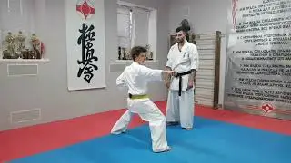 Moving in the kiba-dachi, jun tsuki stance