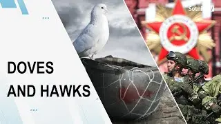 DOVES AND HAWKS