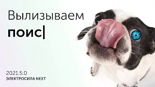 Улучшаем выдачу Яндекс поиска для интернет-магазина ЭЛЕКТРОСИЛА NEXT 2021.5.0
