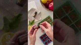 ASMR Ice Cubes 🧊