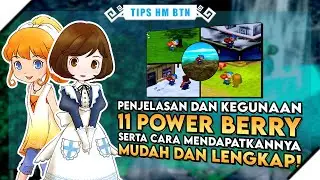 SUPER LENGKAP! Inilah Kegunaan dan Cara Mendapatkan Semua Power Berry Harvest Moon Back To Nature