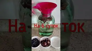 Лучший аля коньяк! #рецепт #рецепты #вкусно