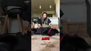 Six hours she'll never forget 