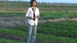 DUONG TINH DOI NGA