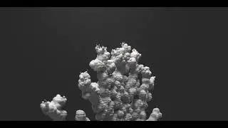 Tyflow Organic Growth 2