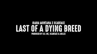 Joana Montana X Scarface 