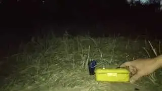 как заводятся ТОСы