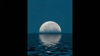 (FREE) Veigh x Vulgo FK x Cjota Type Beat ~ 