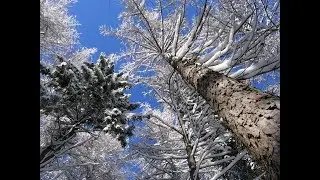IARNĂ, IARNĂ FRUMOASĂ IARNĂ