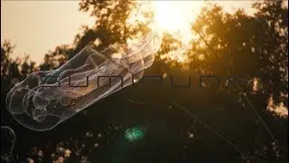 Sumiruna @ Boom Festival - full live set HD film