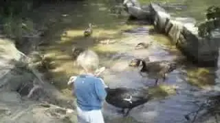 Heath Takes Care of the Ducks