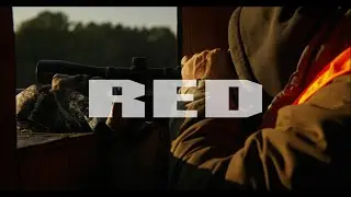 Red Komodo with canon 0.71x speedbooster