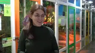 Екзотичні тварини із зони бойових дій живуть у зоопарку Дніпра
