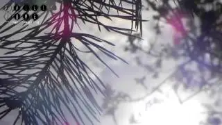 Speo - Nova