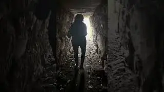 Go towards the light