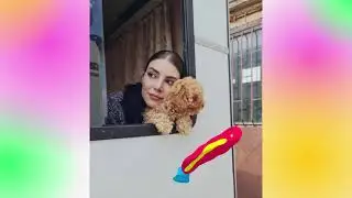 TEŞKİLAT DİZİSİ EĞLENCELİ KARIŞIK KAMERA ARKASI