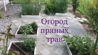Огород пряных трав