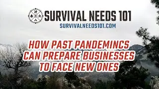 How Past Pandemincs Can Prepare Businesses To Face New Ones