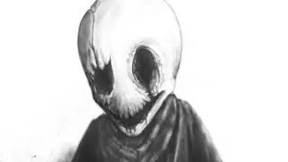 W.D Gaster Calamity: Undertale (Original Voice)