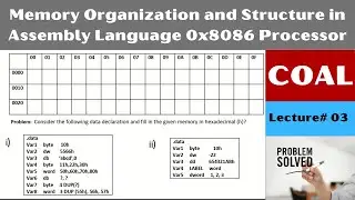 Lecture 03 | Memory Organization and Structure in Assembly Language | Fill in the Memory in Hex