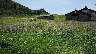 Piani di Bobbio - Barzio (Lecco)