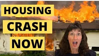 Housing Market Crash 2022: Negative Seller Sentiment to Crash the Housing Market