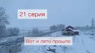 Из города в деревню. 21 серия. Вот и лето прошло