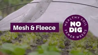 Fleece to speed growth of new plantings in spring, and mesh in summer to reduce pest damage