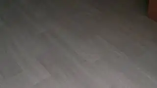 Кошка развлекается на самоизоляции