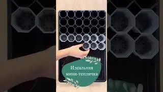 Идеальная мини-тепличка для рассады🌿 #цветы #кашподляцветов #петуния #рассада #рассадацветов