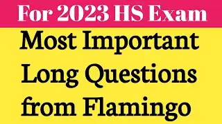 English 2023 most important long question from Flamingo // HS 2nd Year Long Question for 2023