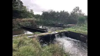 Naturgenopretning ved Staulund Dambrug - Feldborg Bæk og Staulund Å