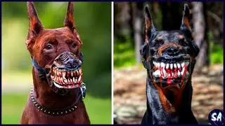 10 Razas De Perros Que Son Una Pesadilla Para Los Animales Salvajes