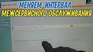 Как поменять межсервисный интервал на Пежо Партнер с помощью Китайской Лексии.