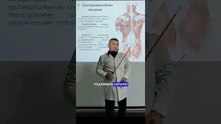 Трапециевидная мышца — важнейшая часть спины / trapezius muscle
