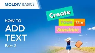 How to Add Text Part 2 | MOLDIV Basics