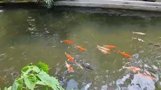 Ubud, Indonesia