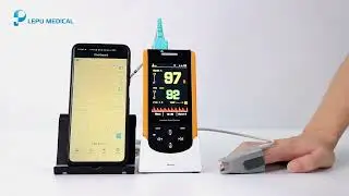 SP-20 Handheld Oximeter