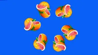 Rotating grapefruit on green screen/ grapefruit animation green screen