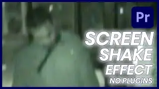 Screen Shake Effect in Premier Pro (No Plugins)