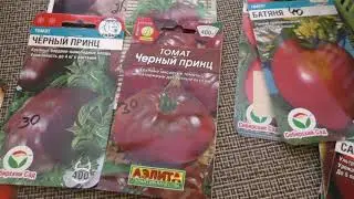 Сорта перцев и томатов на сезон 2023. Эти сорта не подведут!