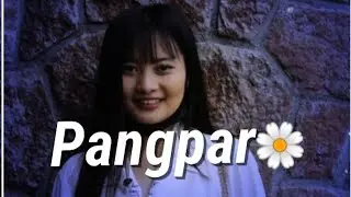 pangpar new effect || XML file in the description