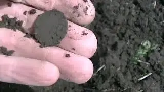 Авось!))) выезд в надежде на клад серебра!)))
