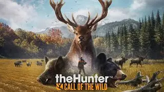 мой дом для трофеев в TheHunter: Call of the Wild