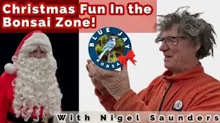 Christmas Fun in The Bonsai Zone with Nigel Saunders!