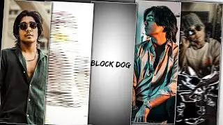 Block Dog BGM Video Editing Telugu | video editing in Telugu|
