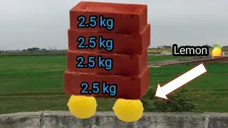 नीबू कितना weight झेल सकता है| lemon vs weight